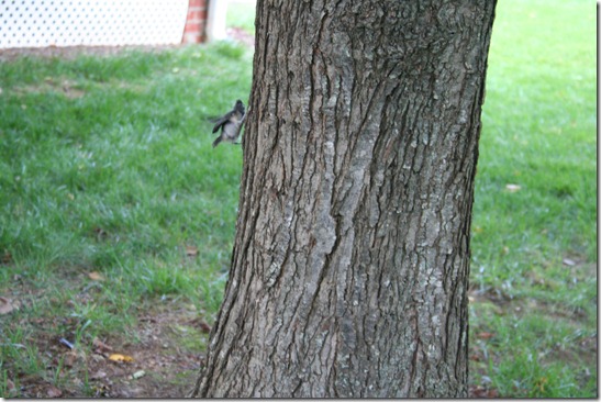 img_7409 img_7409