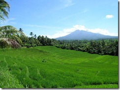 alam alam