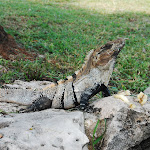 DSC_8645.JPG