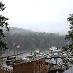 IMG_6134.jpg