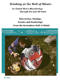 Cover of Bil Linzie's Book Drinking At The Well Of Mimir An Asatru Man Meanderings