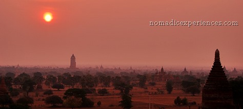 DSC_0714 DSC_0714
