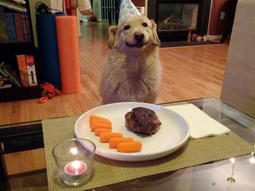 [tumblr_lzf57x86IX1qzv9mho1_500%255B5%255D.jpg]