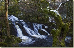 03.Glengarriff 03.Glengarriff