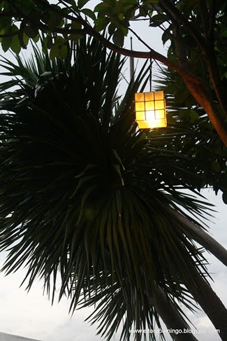 IMG_3419 IMG_3419