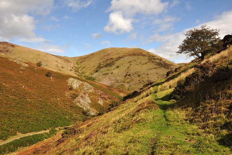 [After%2520the%2520rain%255B3%255D.jpg]