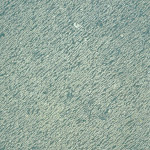 1 - Taille : Ancienne