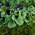 P1140260