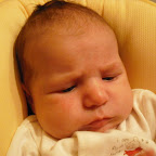 DSCF0037.JPG
