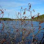 La rivi&egrave;re Olamen