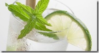 Mint-Good-For-Mojitos-and-Mouse-Prevention[1]