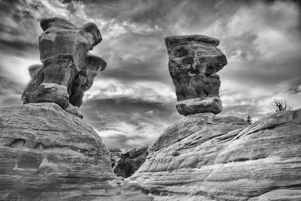 IMG_0390-Edit.jpg