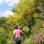 DSC06470.JPG