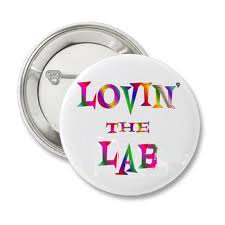 lovinthelab