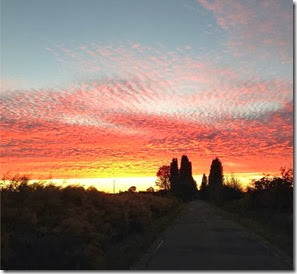 Amanhecer em Carrion de Los Condes Autora Beta Rodrigues