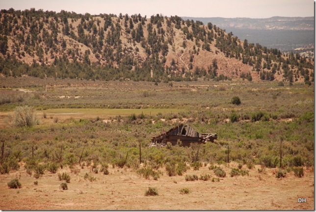 05-25-13 B Cottonwood Rd - Cannonville to Kodachrome (53)