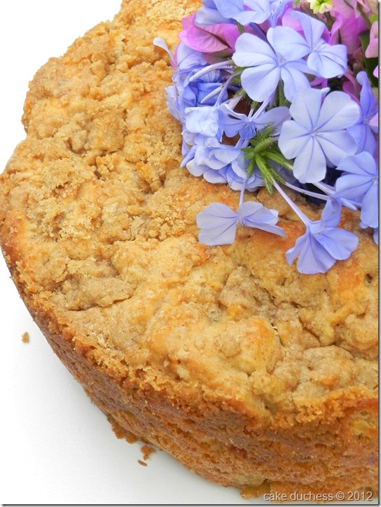 fresh-apple-coffeecake-4 fresh-apple-coffeecake-4