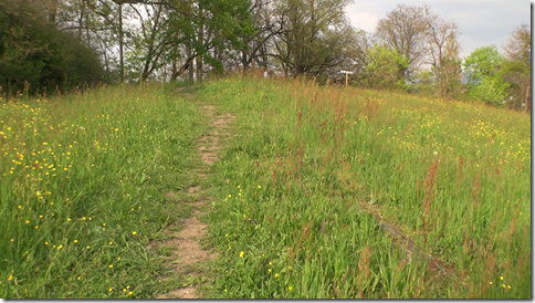 vlcsnap-2014-05-05-11h56m11s159 vlcsnap-2014-05-05-11h56m11s159