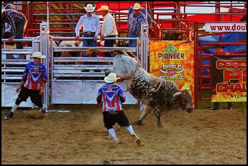 PBR 178