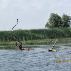 IMG_7788.JPG