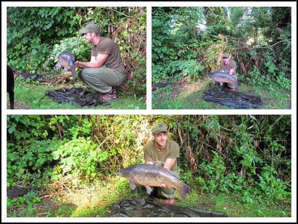 5 Carp 20lb 5 Carp 20lb