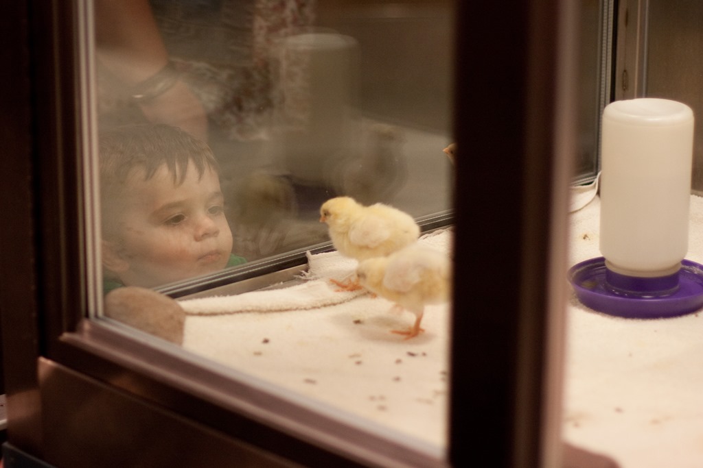 [20130621-IMG_14384.jpg]