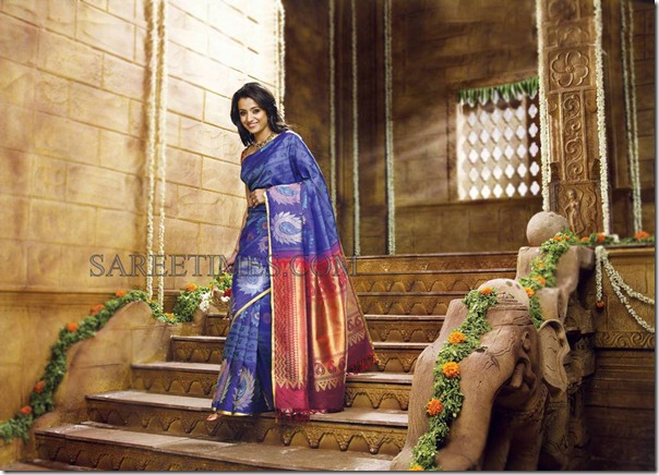 Trisha_Traditional_Saree (6)
