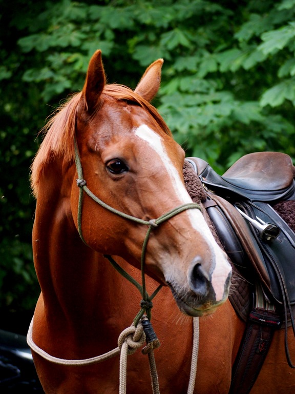 [1%2520Aug%25201%255B7%255D.jpg]