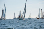 DSC_5731.jpg