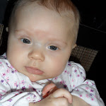 SAM_0766.JPG