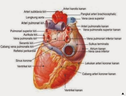 [clip_image0013.jpg]