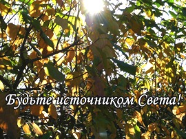 P1490619