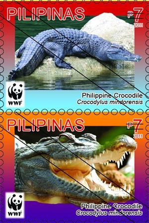 [crocs%255B11%255D.jpg]
