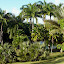 Le jardin de l'Habitation Clément