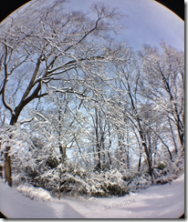 Sue Reno, winter landscape, fisheye