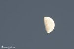 Moonside