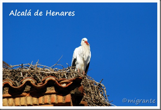 2011-12 - alcalá de henares