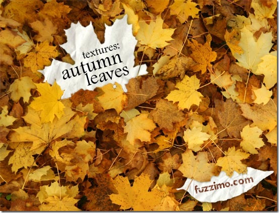 fzm-autumn.leaves.textures-01 fzm-autumn.leaves.textures-01