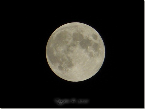 Full Moon in July