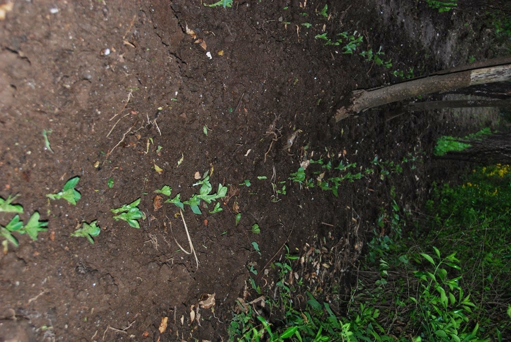 [DSC_0735%255B2%255D.jpg]