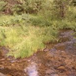 View album