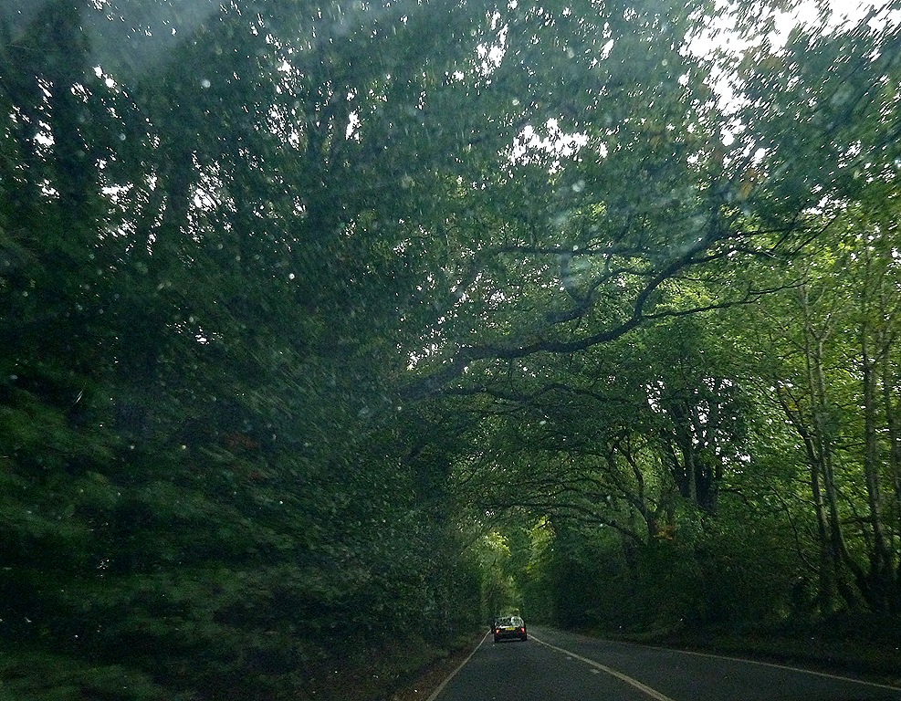 [dartmoor%2520062%255B5%255D.jpg]