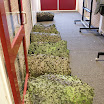 FeestMannenVanNu.110212 128.JPG