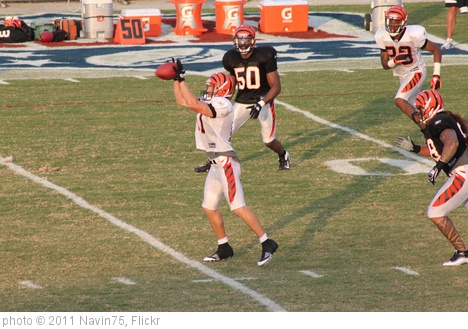 'WR Jordan Shipley' photo (c) 2011, Navin75 - license: http://creativecommons.org/licenses/by-sa/2.0/