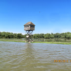 IMG_3113.JPG
