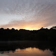 Morning Lake 12.JPG