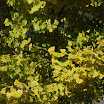 hokkaido_790.jpg