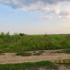 IMG_8196.JPG