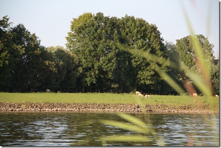 ijssel