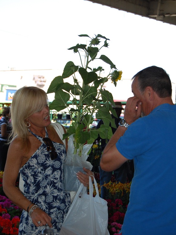 [CSC_0132.jpg]